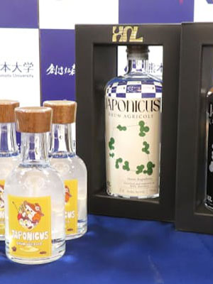 日経新聞に「JAPONICUS 」が掲載されました。